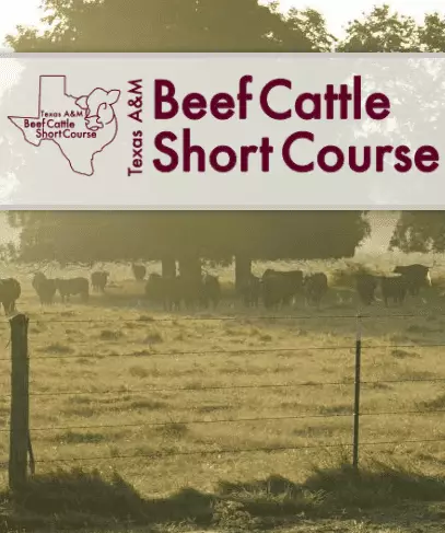 2018 TAMU Beef Cattle Short Course