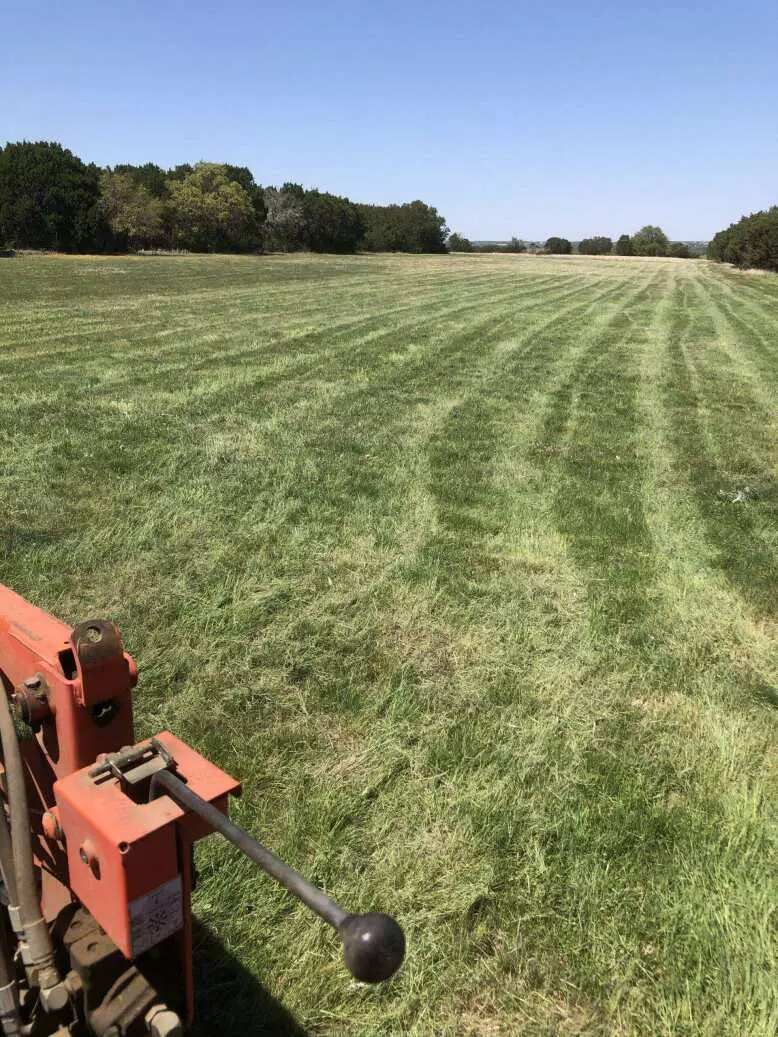 Pasture after shredding