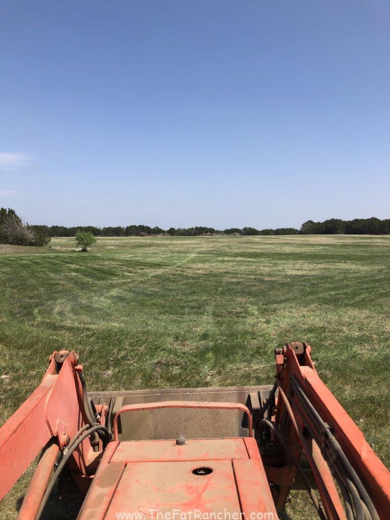 Completetly shredded pasture