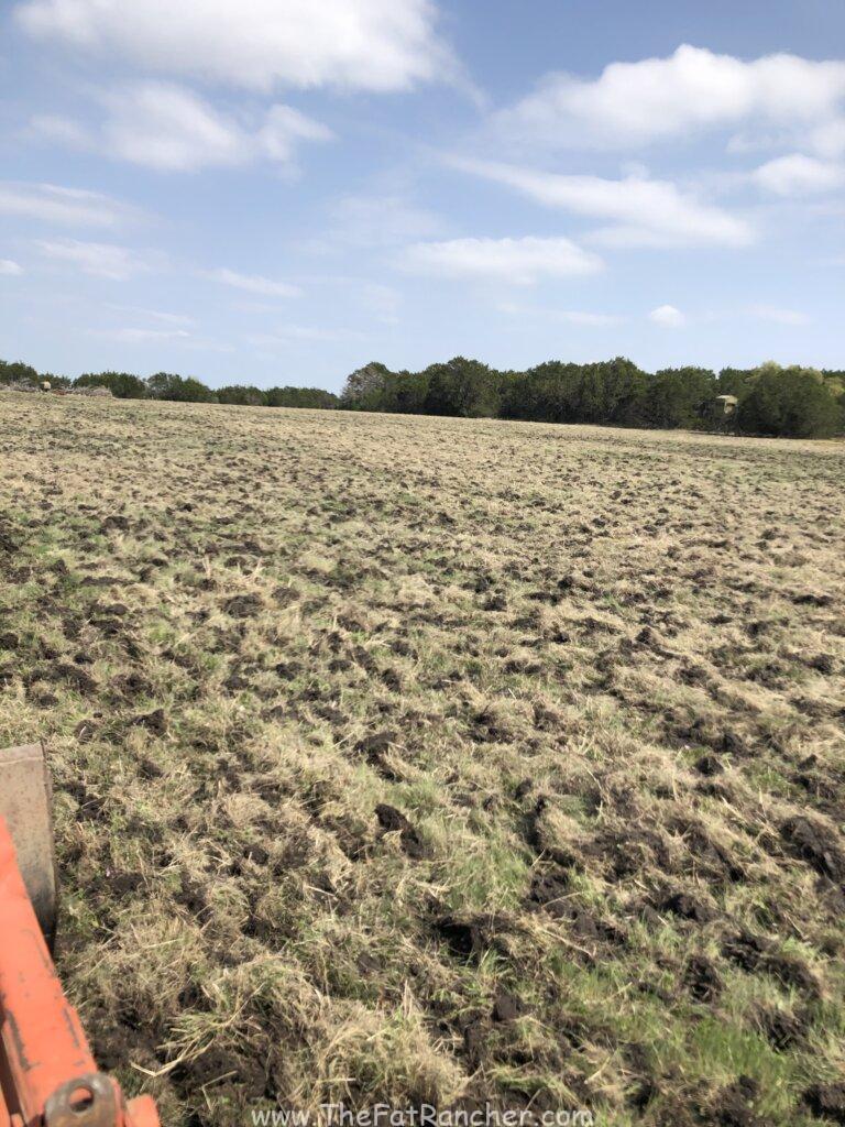 Disced pasture