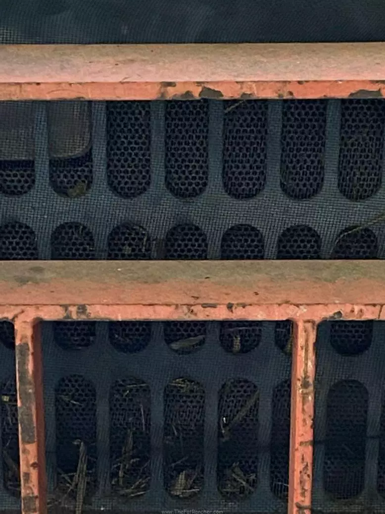 Removable mesh over radiator inlet