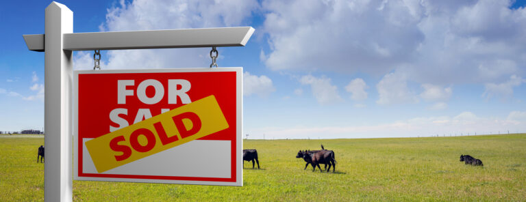Choosing a Homestead Property