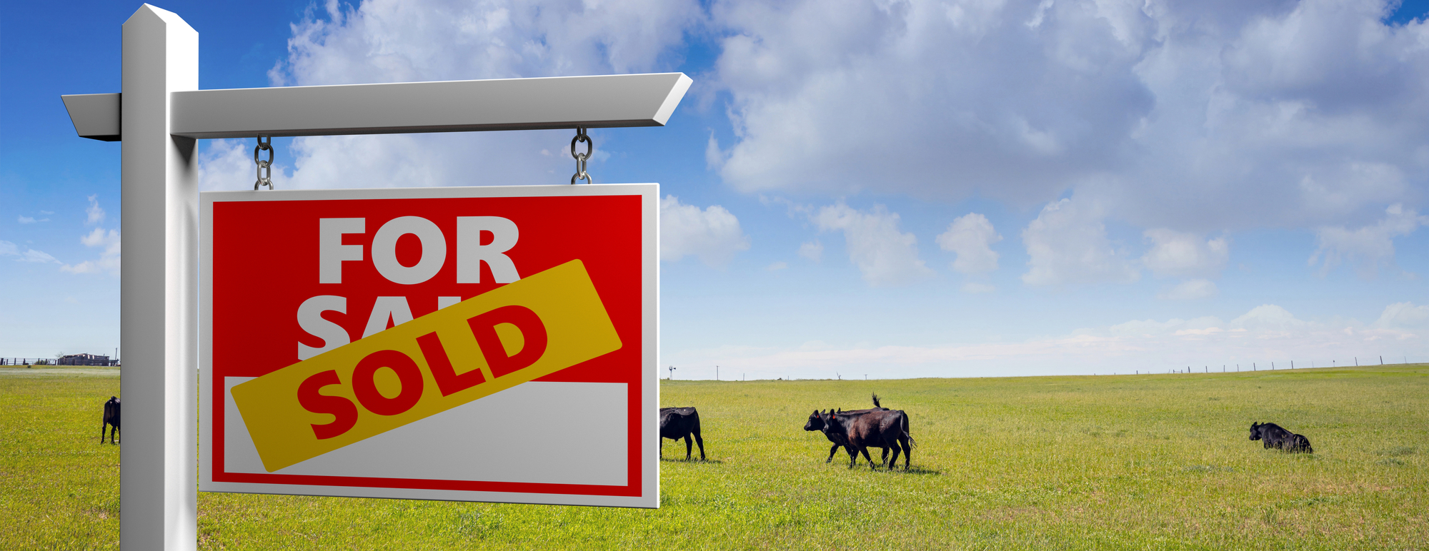 Land-for-Sale-3-Depositphotos_327262458_L Ranch pasture with for sale sign
