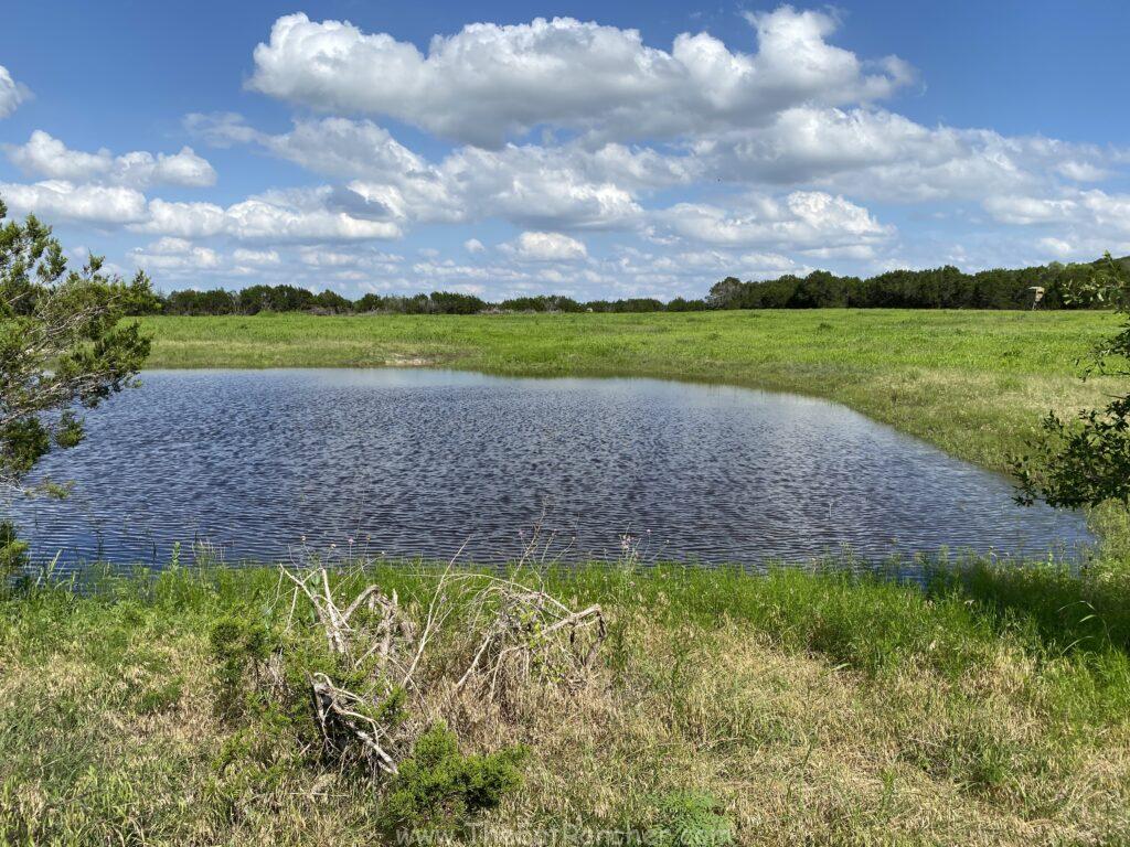 Photo of a stock tank on a ranch