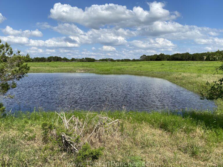 Water Law Basics