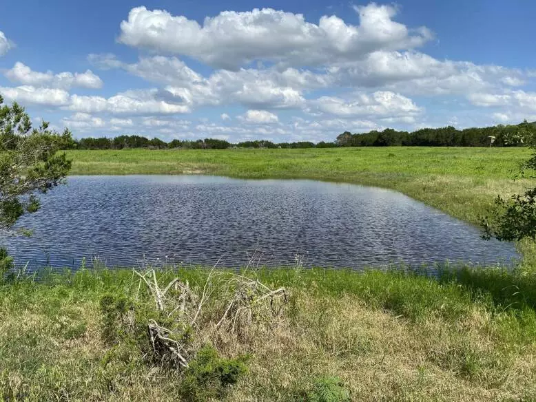 Water Law Basics