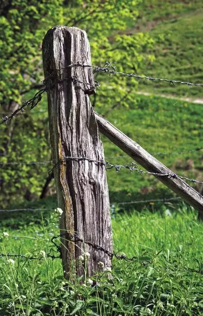 Rickety ranch fence corner post
