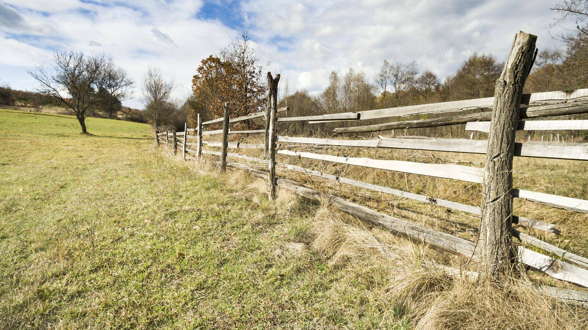 Wooden painted fence along a horse pasture Ranch fence along pasture