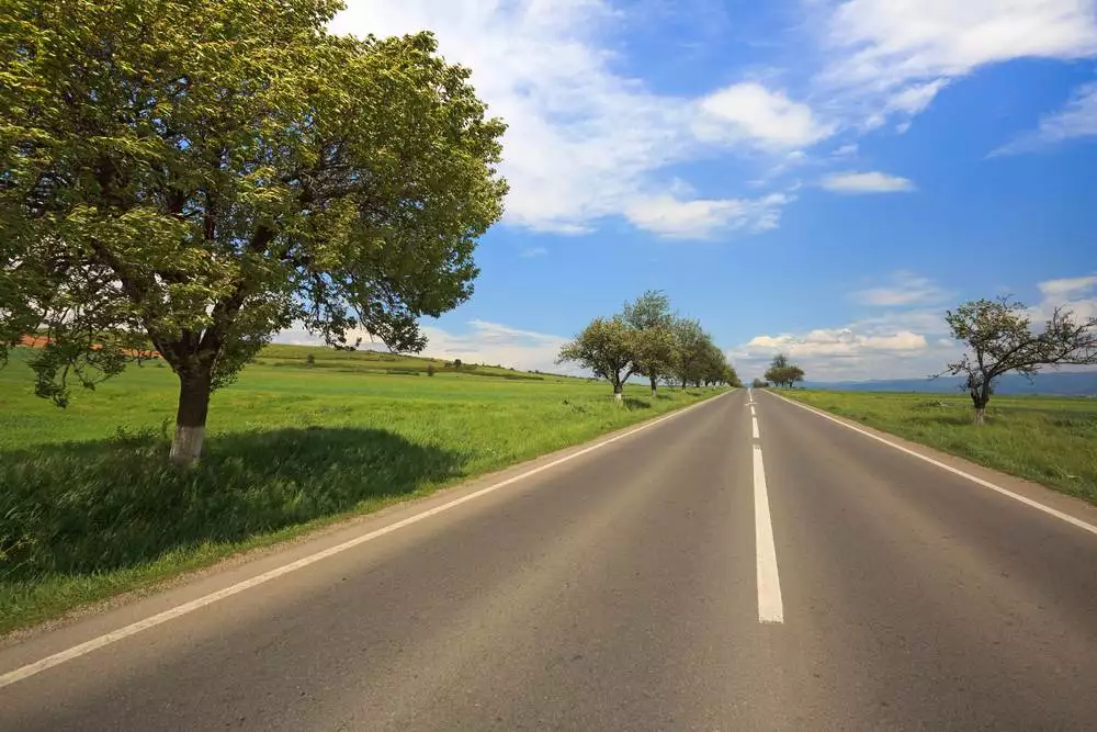 Nice country road with beautiful trees along side to travel to homestead property.