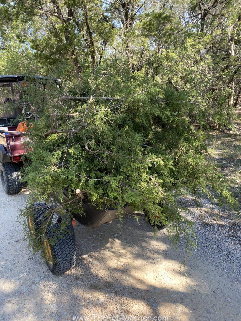 Polar HD trailer loaded with juniper clippings.